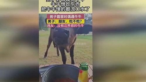 网络热词背后揭秘:娱乐吃瓜君被喊了吗?